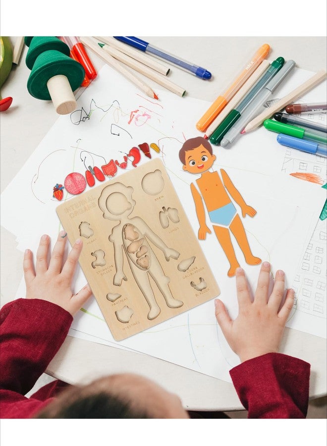Gudong Montessori Jigsaw Puzzle of Human Structure Kids Human Learning Toy Anatomy Organ Model Anatomy Toy Children Human Organ Education Toys Human Organ Teaching Aids (Boy) - Image 4
